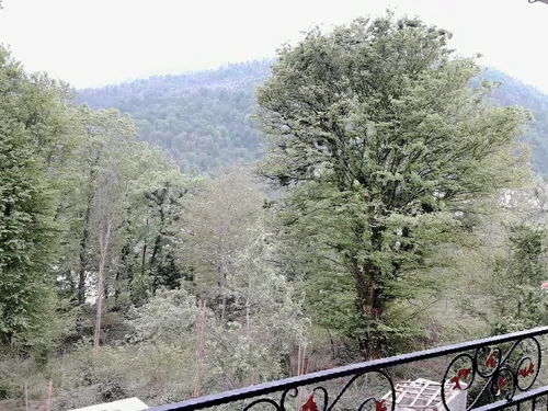 تصویر 17 - ویلا  جنگلی رادین در  سوادکوه