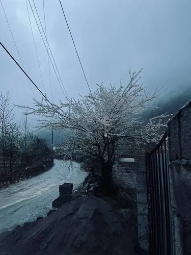 تصویر 14 - کلبه متولی در  سوادکوه