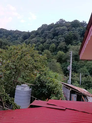 تصویر 5 - ویلا لوکس جنگلی در رامسر