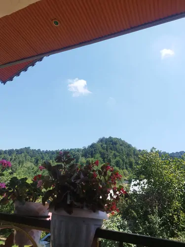 تصویر 2 - ویلا ویلای جنگلی در فومن