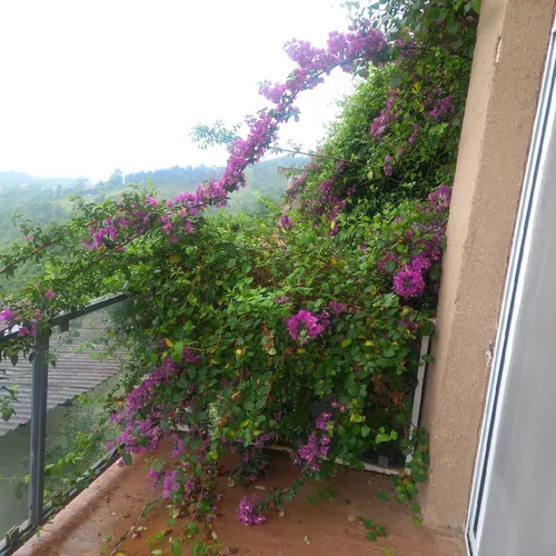 تصویر 25 - ویلا استخردار آبگرم باران در  کتالم