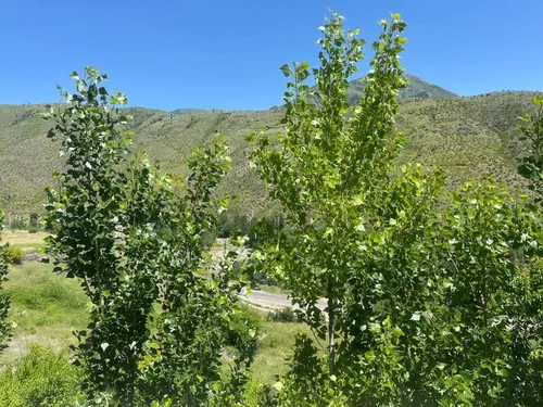 تصویر 2 - ویلا اجاره ویلا استخر دار بدون استخر ویوو جنگلی پارکینگ دار  در کلیبر