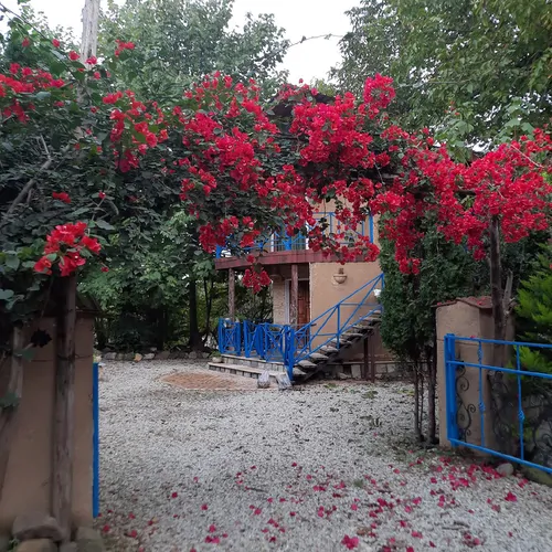 تصویر 2 - کلبه کلبه جنگلی چوبی در کلارآباد