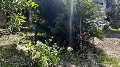 تصویر 10 - ویلا محسن در  چالوس