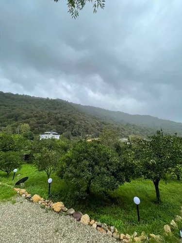 تصویر 16 - کلبه جنگلی الی در  هچیرود