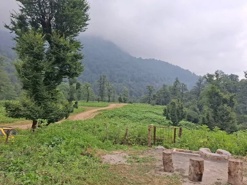 تصویر 35 - کلبه چوبی پدر  در  ماسال