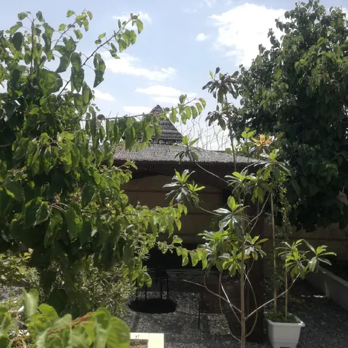 تصویر 2 - ویلا باغ ویلای مهر در مشهد