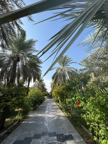 تصویر 7 - خانه مبله طالبی (۱۰۲) در  آبادان