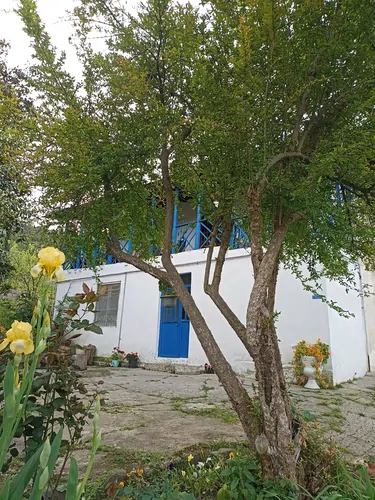 تصویر 14 - ویلا صنوبر در شهسوار