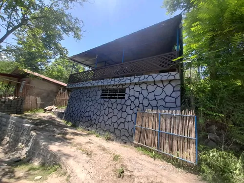 علی