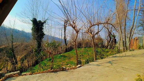 تصویر 3 - کلبه کلبه سویسی میرکا ۱۴۰۳ در بابل