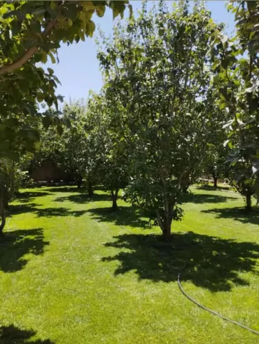 تصویر 22 - ویلا استخردار آبسرد لوکس کوروش در  سپیدان