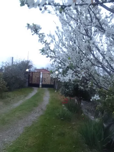 تصویر 20 - ویلا شعبانی (6) در  نشتارود