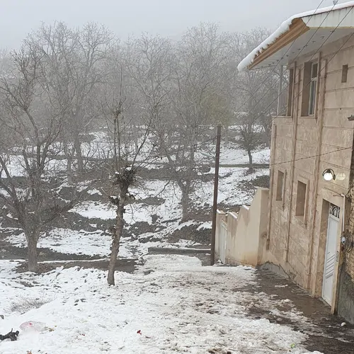 تصویر 3 - ویلا فردو در قم
