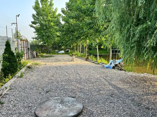 تصویر 14 - کلبه كومه مرداب  در  انزلی