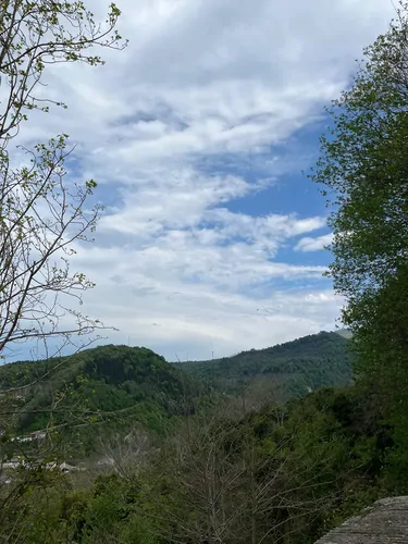 تصویر 14 - کلبه جنگلی افرا در شیرگاه