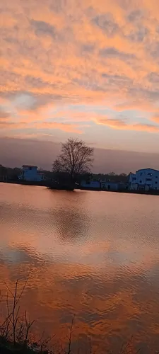 تصویر 20 - ویلا آهو در  نور