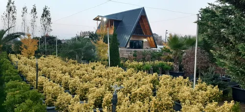 تصویر 10 - کلبه سوییسی ژینگو در شهسوار