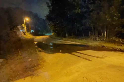 تصویر 22 - ویلا  جنگلی دو درخت در  رشت