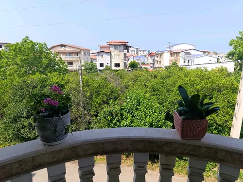 تصویر 2 - خانه مبله شقایق در رامسر