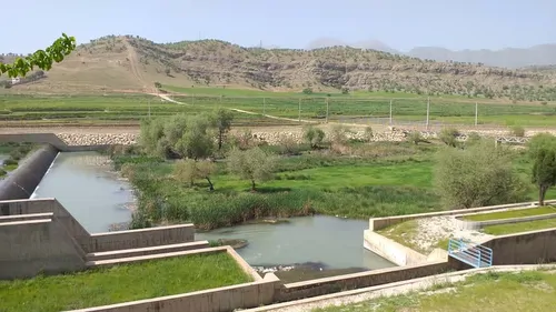 تصویر 11 - ویلا باغ لردگان در  لردگان