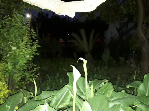 تصویر 2 - سوییت کیا در نوشهر