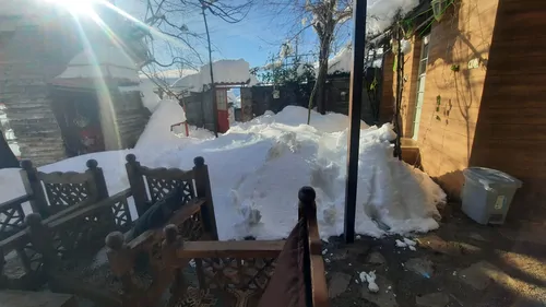 تصویر 41 - کلبه چوبی لِلی در سوادکوه