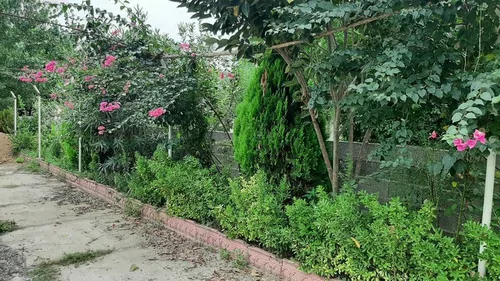 تصویر 23 - ویلا استخردار آبگرم صدف در  صومعه‌سرا