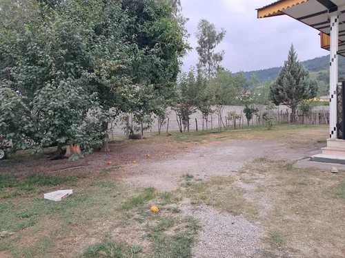 تصویر 13 - کلبه سوییسی آوای جنگل  در  ماسال