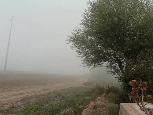 تصویر 14 - اقامتگاه بوم‌گردی باران در  آزادشهر