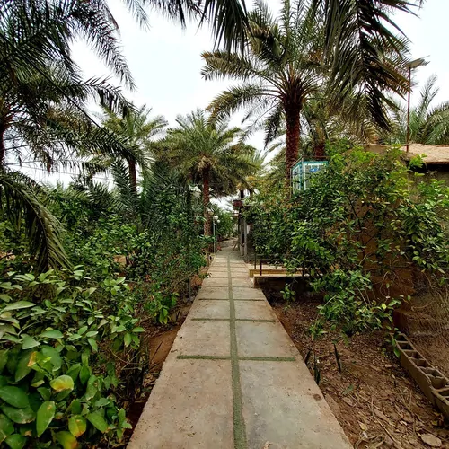 تصویر 8 - اقامتگاه بوم‌گردی هوربانو (دو تخته) در  شهداد