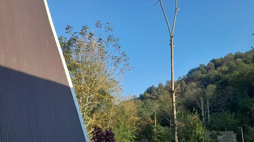 تصویر 10 - کلبه گیشم در شفت