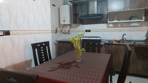 تصویر 3 - خانه آرنیکا (گل همیشه بهار) در شیراز