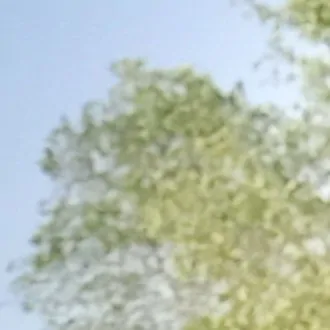 تصویر 4 - هاستل ثثثثثثثثثثثث در زاهدان