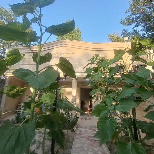 تصویر 5 - ویلا ویلای دوخوابه استخر دار ائل سون در اسکو