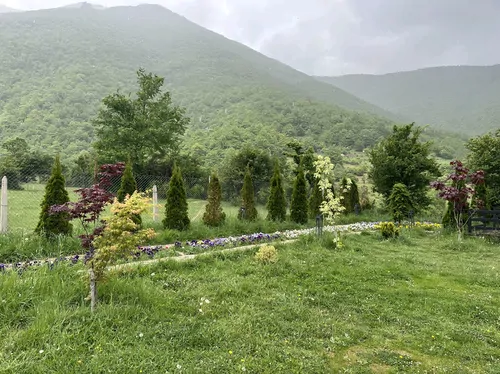 تصویر 15 - کلبه سوییسی جنگلی پاشا با جکوزی در کجور