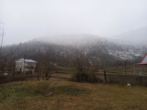 تصویر 3 - آپارتمان ویلا رویایی در دل جنگل در فومن