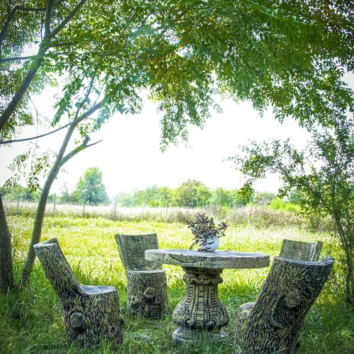 تصویر 17 - ویلا  چوبی باغ انار در  ماسال
