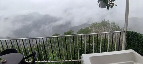 تصویر 13 - ویلا  صدف طلایی در  رامسر