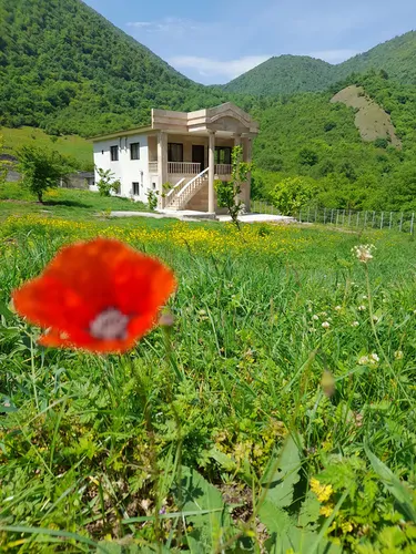 تصویر 21 - ویلا جنگلی لزیر در  چمستان