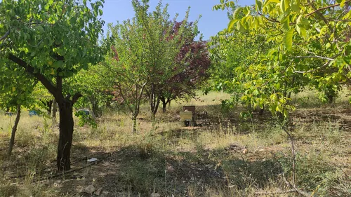 تصویر 2 - ویلا کلبه باغ دامنه کوه در یاسوج