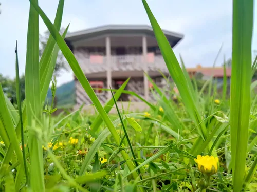 تصویر 3 - ویلا فروزانی در  قلعه‌رودخان 