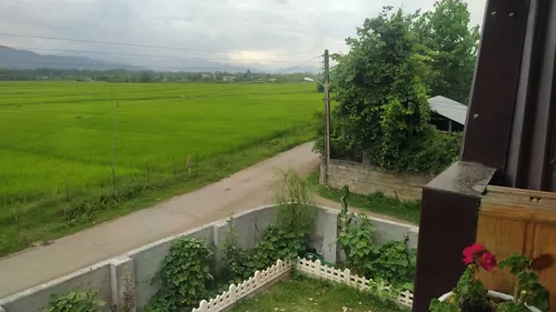 تصویر 16 - کلبه  سوئیسی کیاراد در  پره‌سر
