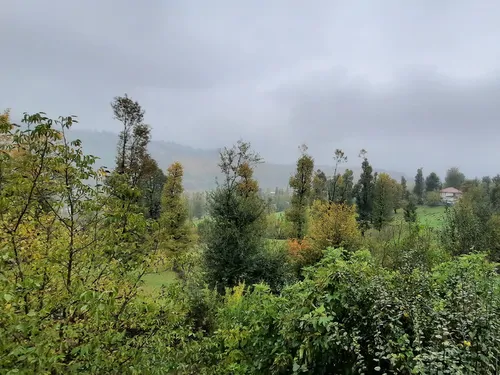 تصویر 26 - ویلا جنگلی آپادانا روستای استخرگاه در  رستم آباد