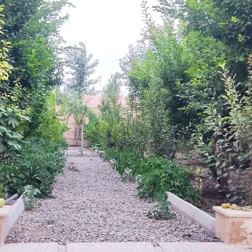تصویر 14 - ویلا باغ استخردارآبسرد رویا در  سهیلیه