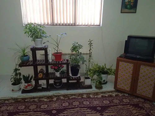 تصویر 6 - آپارتمان شهرک صدرا در  صدرا
