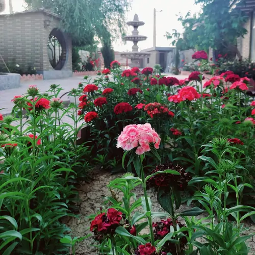 تصویر ۱ - ویلا چناران(2) در  یاسوج