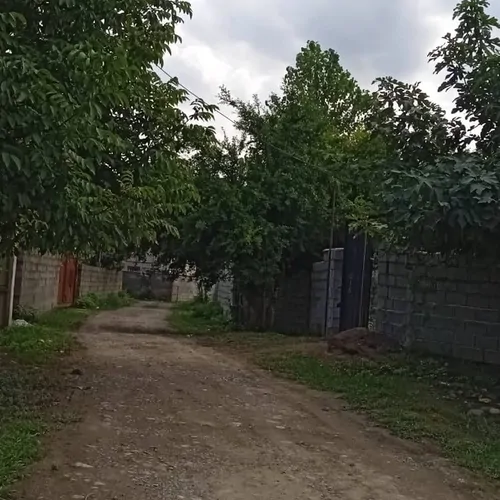 تصویر 26 - ویلا  جنگلی روستائی صابر در  ماسال