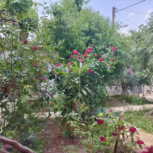 تصویر 8 - سوییت لب آب در  باغ بهادران