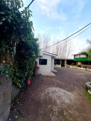 تصویر 8 - اقامتگاه بومگردی سیمرغ (1) در انزلی